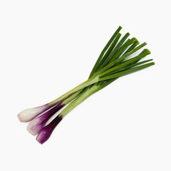 بصل اخضر