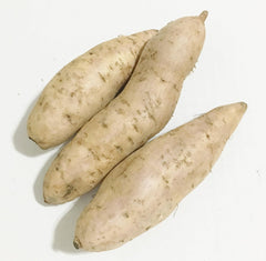 بطاطا بيضاء