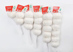 ثوم صينى عامود