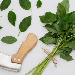 ملوخيه خضرا