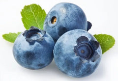 بلو بيري بانيت