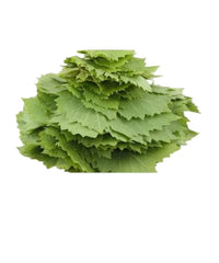 ورق عنب بناتى