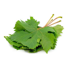 ورق عنب ابيض