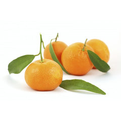 يوسفي مندرين