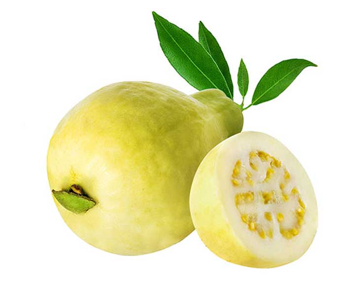 جوافة
