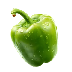 فلفل بلدى