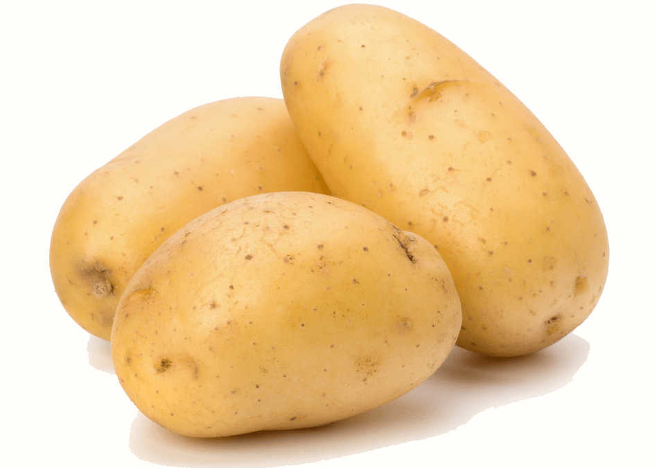بطاطس