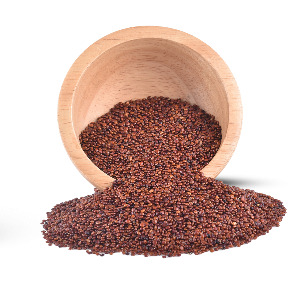 حب الرشاد