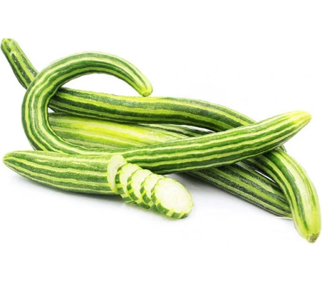 فاقوس ( اته )