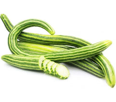 فاقوس ( اته )