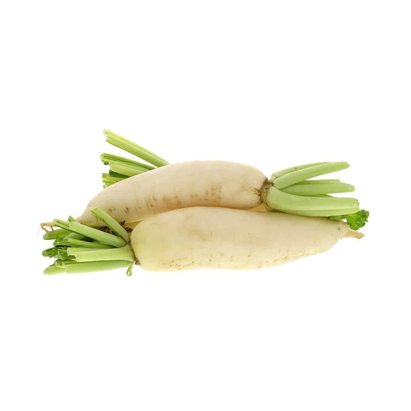 فجل صينى