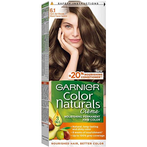 جارنيه كلر نتشرلز 6.1 اشقر غامق رمادي