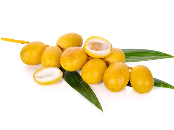 بلح برحى