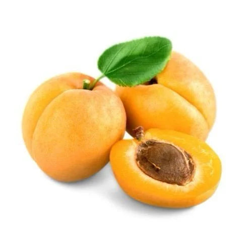 مشمش عجمي