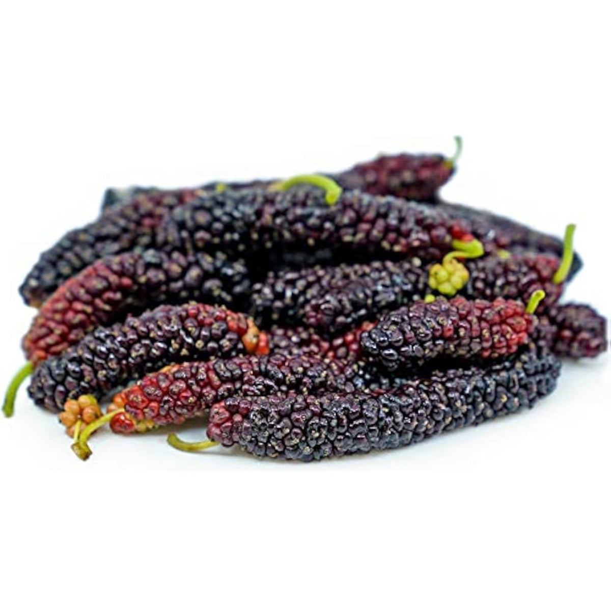 ريد بيرى اسبانى بانيت