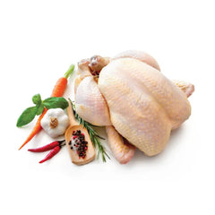 دجاج شواية