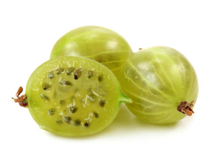 عنب هندى