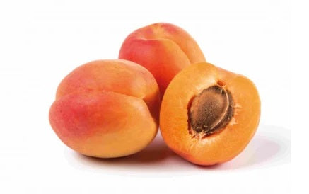 مشمش فرنسى